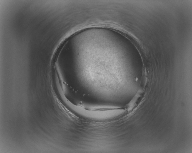 X0000073421506200608181107