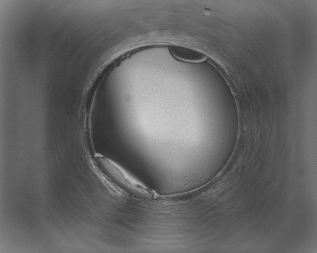 X0000073421507200608181107