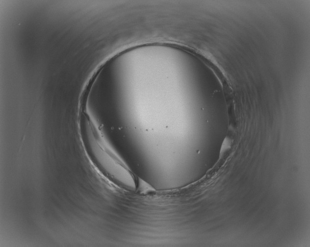 X0000073421508200608181107