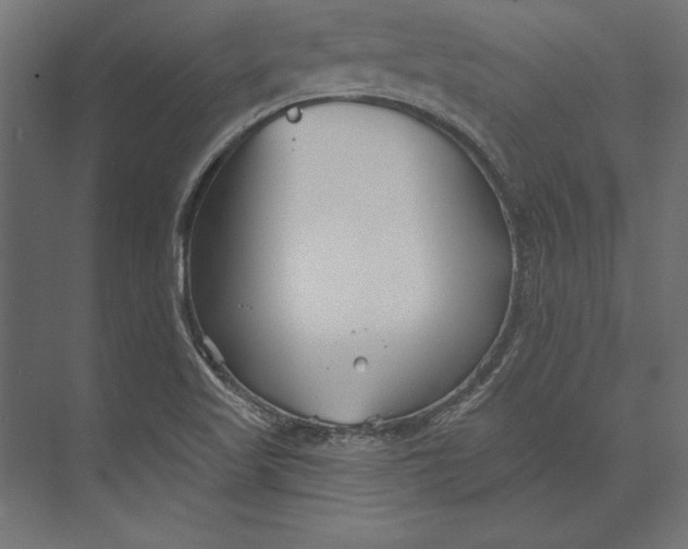 X0000073421509200608181107