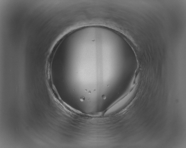 X0000073421510200608181107