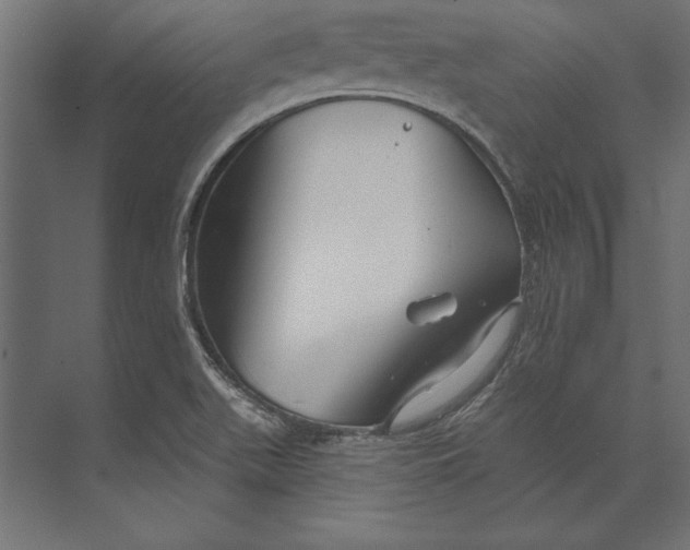 X0000073421511200608181107