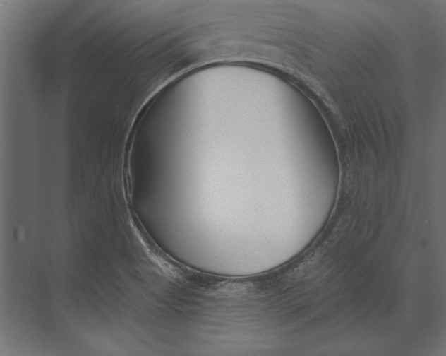 X0000073421513200608181108