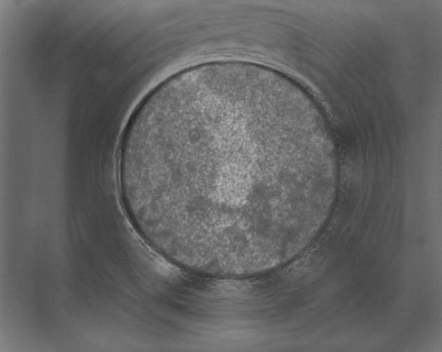 X0000073421514200608181108