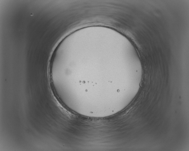 X0000073421516200608181108