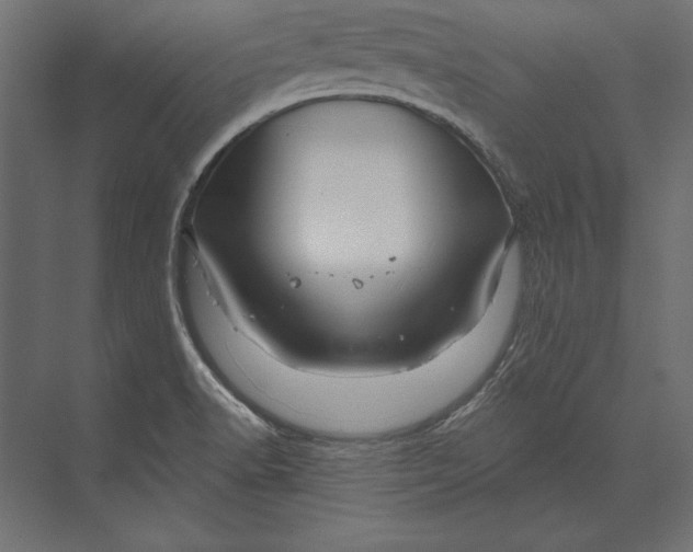 X0000073421518200608181108