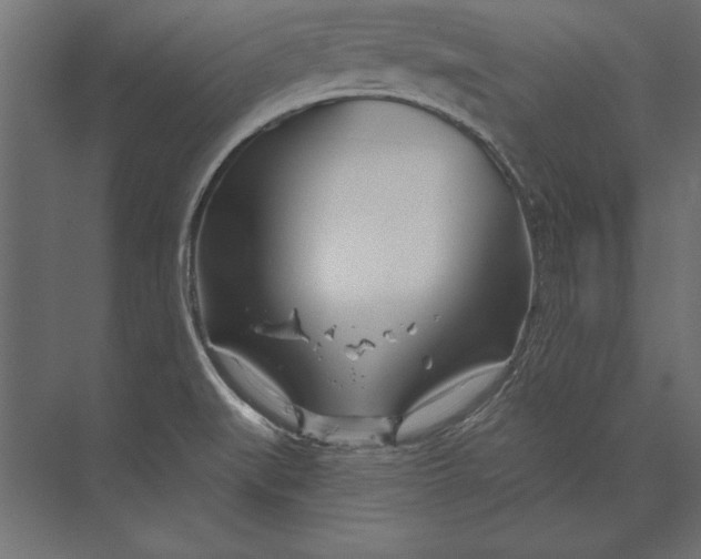 X0000073421519200608181108