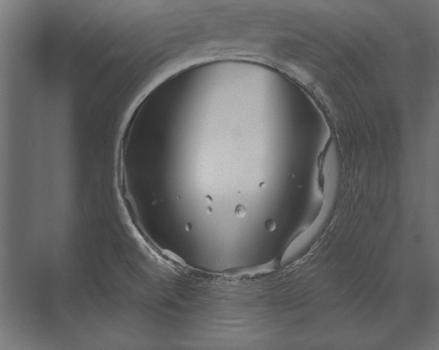 X0000073421520200608181108