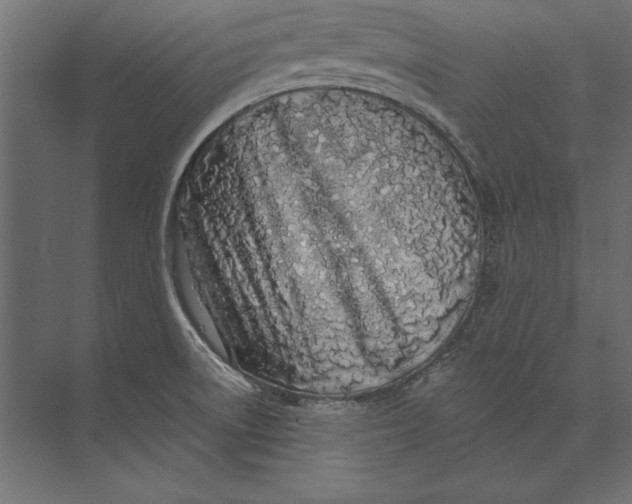 X0000073421522200608181108