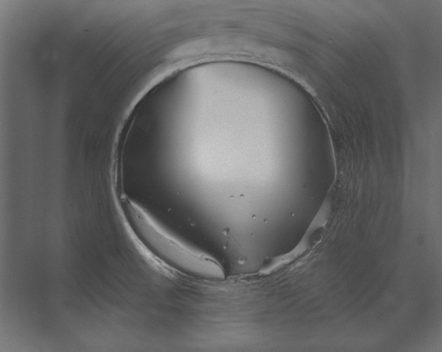 X0000073421523200608181108