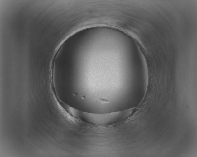 X0000073421524200608181108