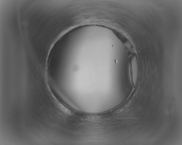 X0000073421525200608181108