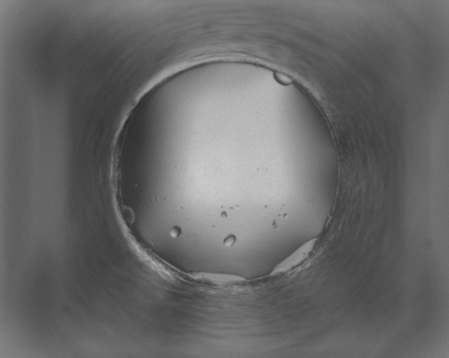 X0000073421526200608181108