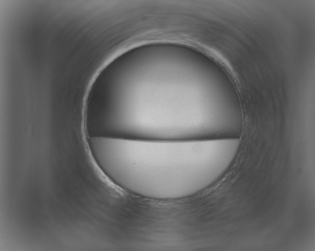 X0000073421528200608181108