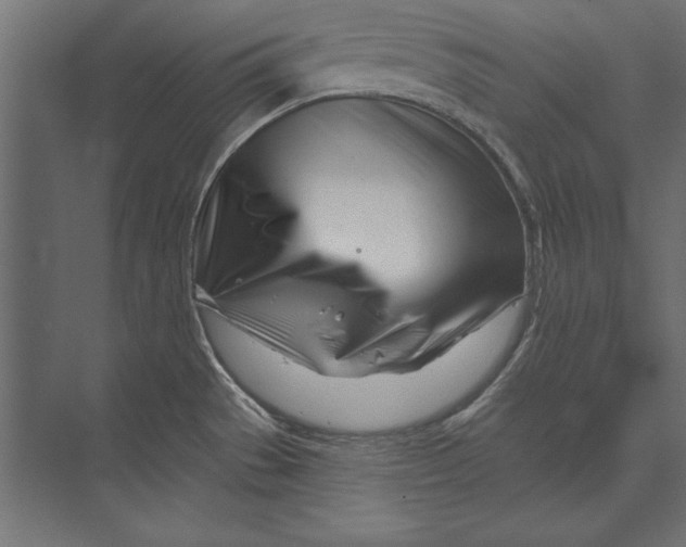 X0000073421529200608181108