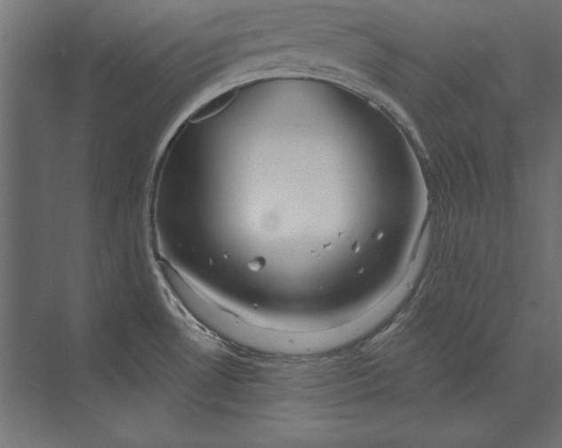 X0000073421530200608181108