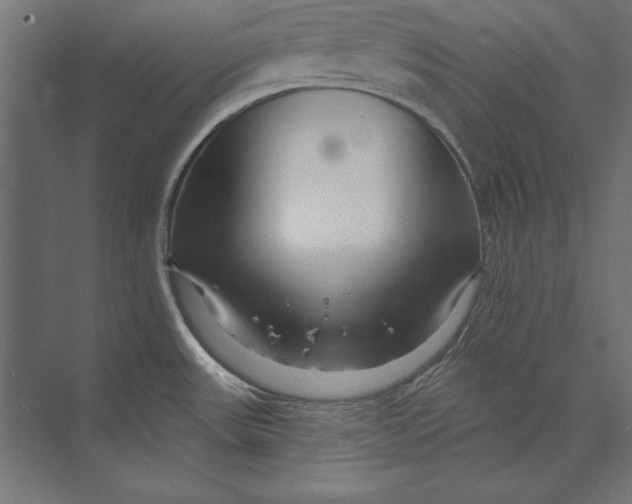 X0000073421531200608181108