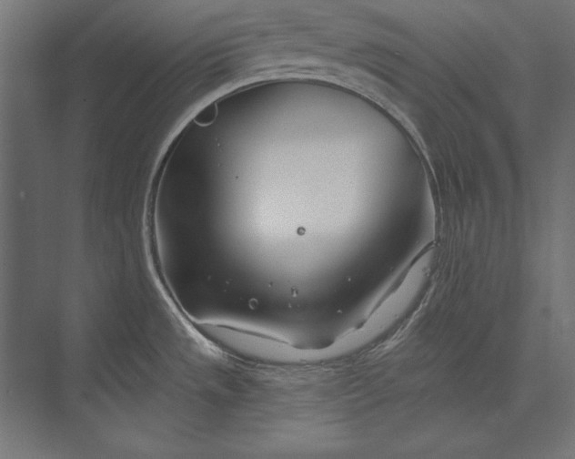 X0000073421533200608181108