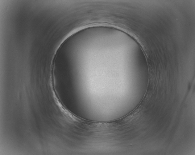 X0000073421534200608181108