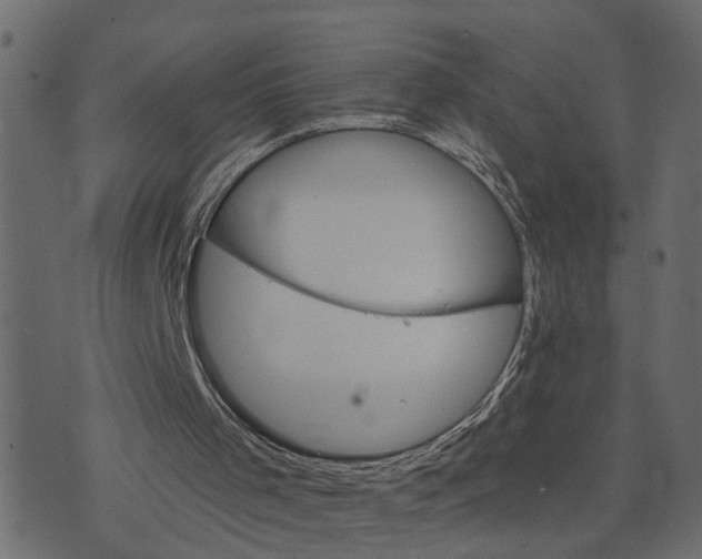 X0000073420001200608251602