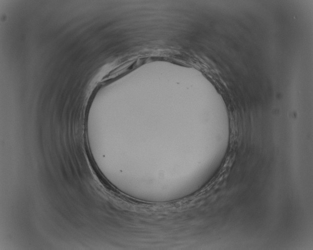 X0000073420003200608251602