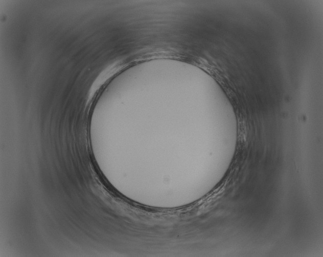 X0000073420004200608251602