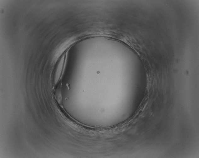 X0000073420005200608251602