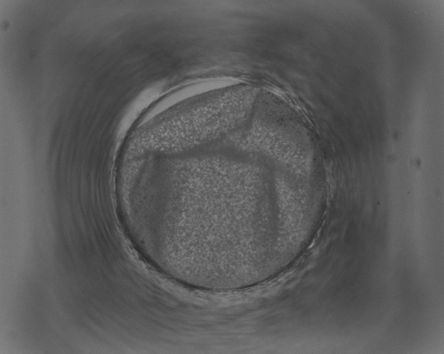 X0000073420006200608251602