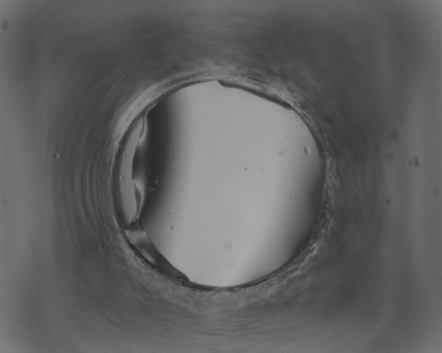 X0000073420007200608251602