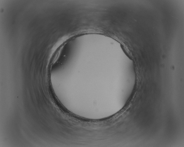 X0000073420008200608251602