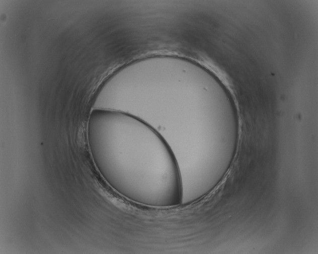 X0000073420009200608251602