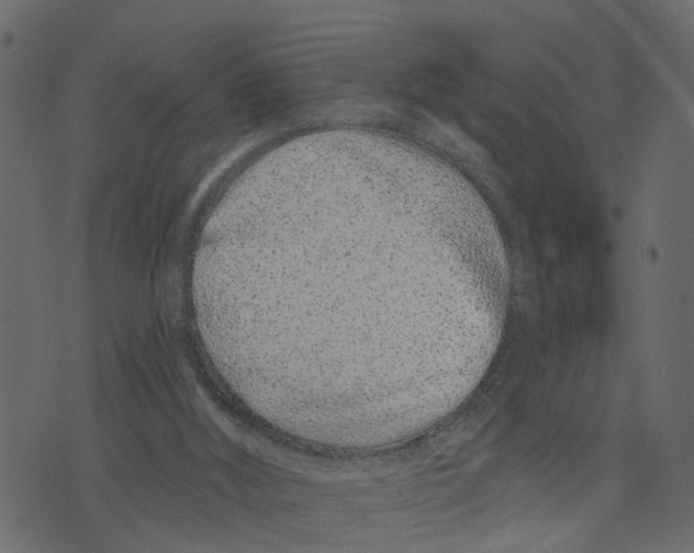 X0000073420012200608251602