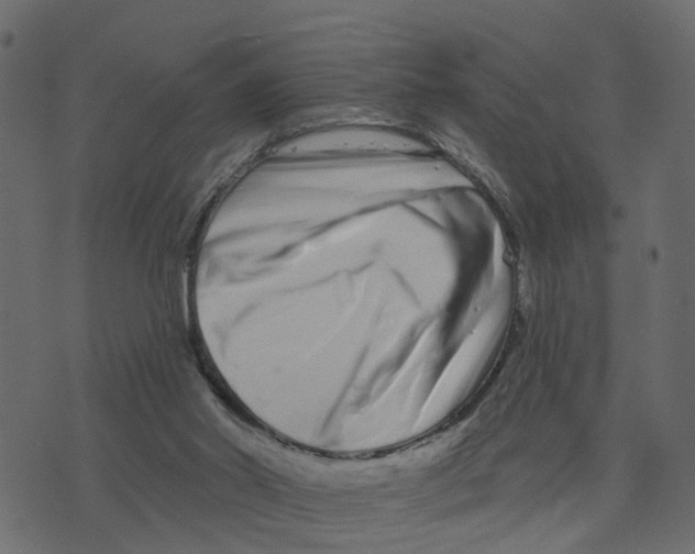 X0000073420014200608251601