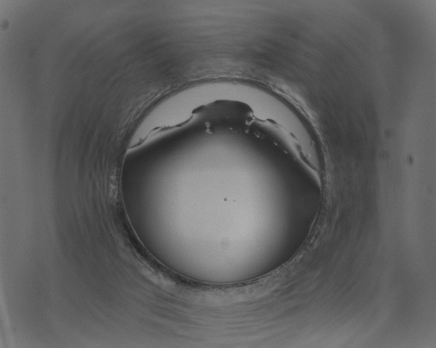 X0000073420017200608251601