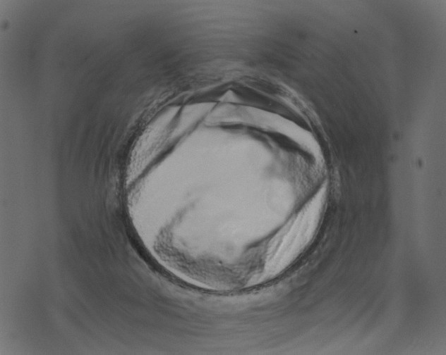 X0000073420018200608251601