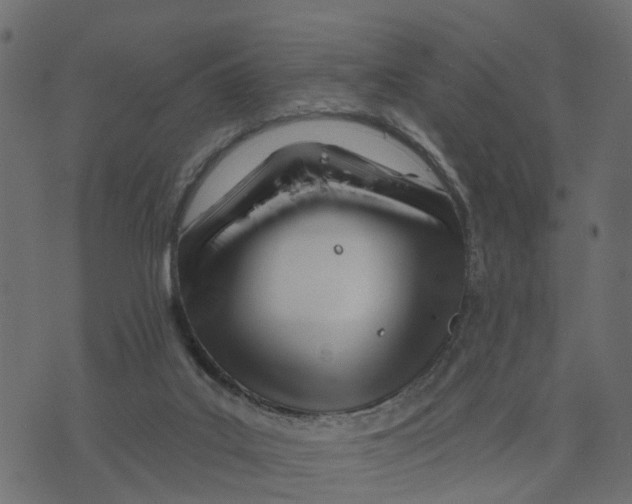 X0000073420019200608251601