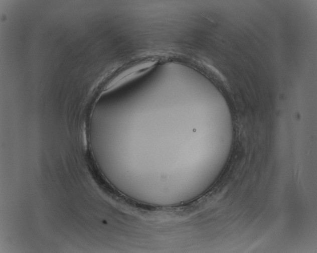 X0000073420020200608251601