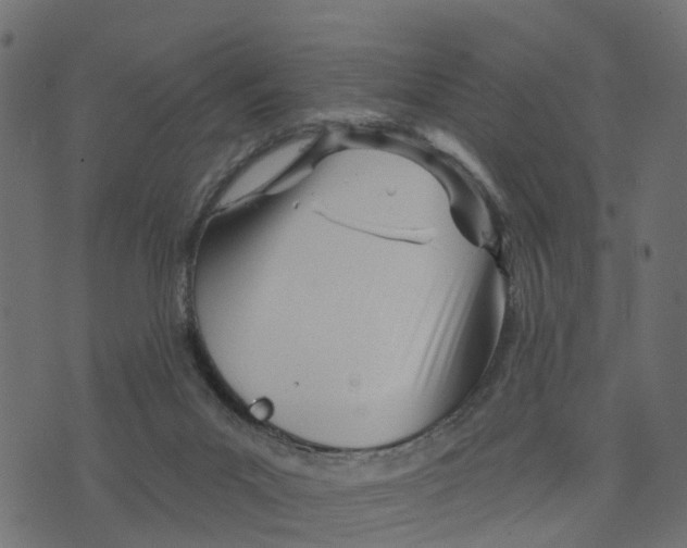 X0000073420023200608251601