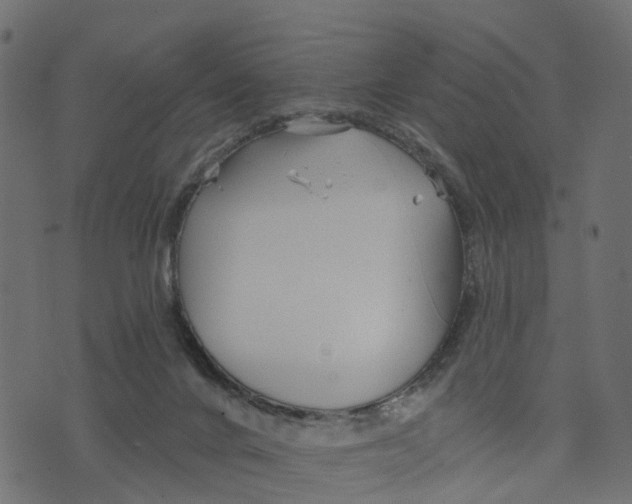 X0000073420024200608251601