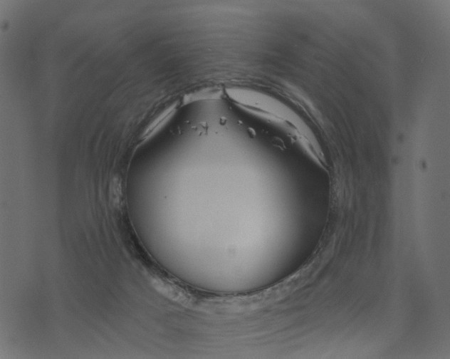 X0000073420025200608251601