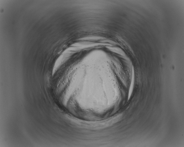 X0000073420026200608251601