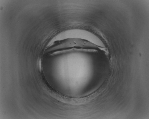 X0000073420027200608251601