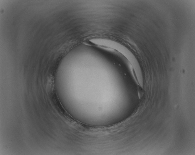 X0000073420029200608251601