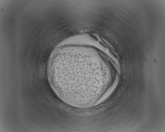 X0000073420030200608251601