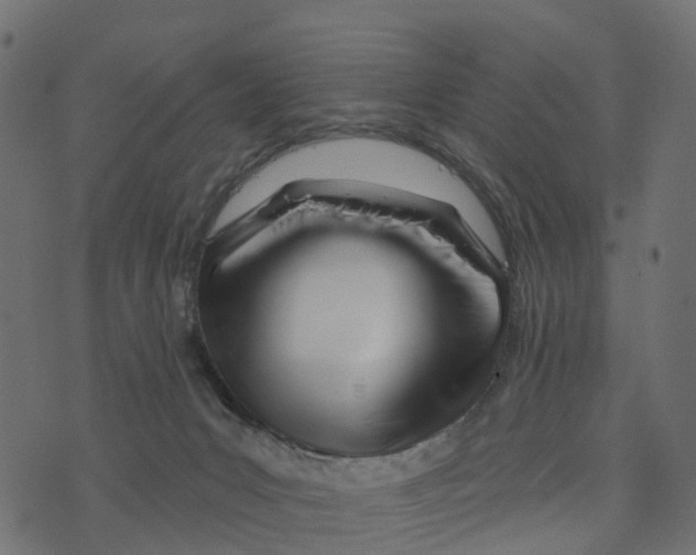 X0000073420031200608251601