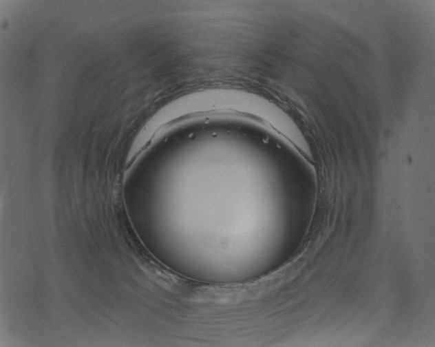 X0000073420033200608251601