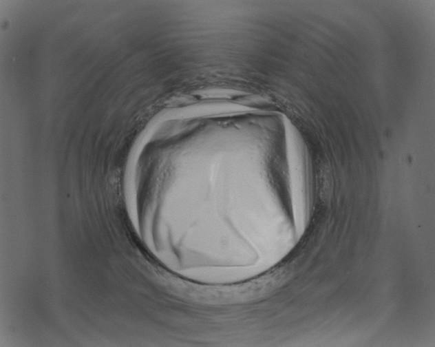 X0000073420034200608251601