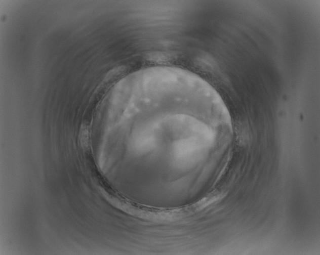 X0000073420036200608251601