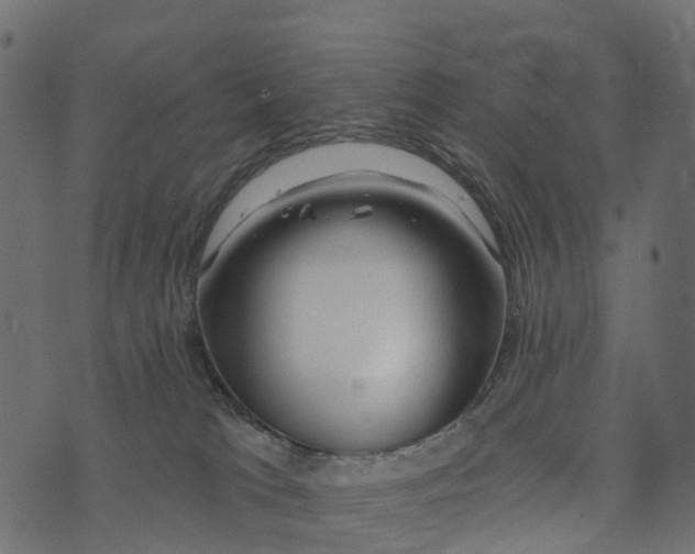 X0000073420037200608251601