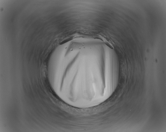 X0000073420038200608251601